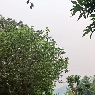 Ảnh người dùng đánh giá Khách Sạn Mường Thanh Holiday Con Cuông