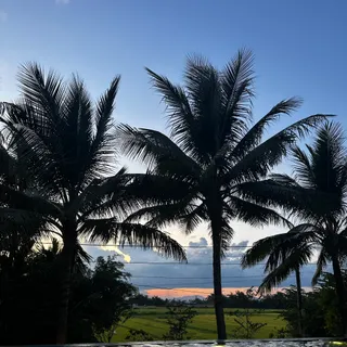 Ảnh người dùng đánh giá La Siesta Hội An Resort & Spa