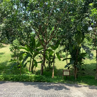 Ảnh người dùng đánh giá Khu Nghỉ Dưỡng Suối Khoáng Nóng Núi Thần Tài Ebisu Onsen Đà Nẵng 