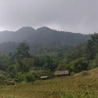 Ảnh người dùng đánh giá Khu Nghĩ Dưỡng Panhou Retreat
