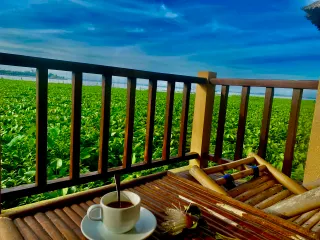 Ảnh người dùng đánh giá Mekong Riverside Boutique Resort & Spa