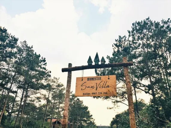 Ảnh Sum Villa Homestay Mang Den