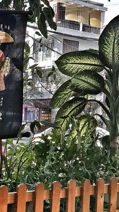 Ảnh Chung cư 45 m² 1 phòng ngủ, 1 phòng tắm riêng ở Lộc Thọ (Vacation Nha Trang Beach  2)