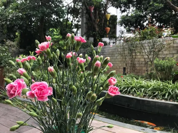 Ảnh  250 m² 4 phòng ngủ, 5 phòng tắm riêng ở Quận Hoàng Mai (Cozy Place)