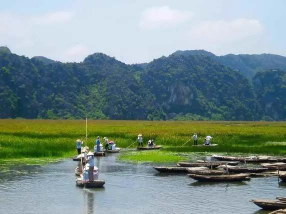 Ảnh Ninh Binh Nature Homestay