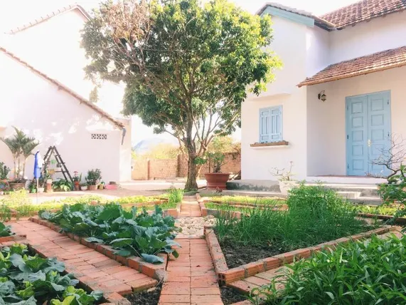 Ảnh Vietnam Phuot Real Home