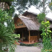 Ảnh Resort Tre Xanh