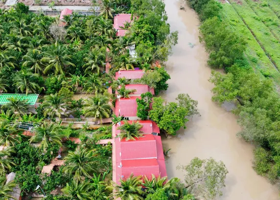Ảnh Nghênh Xuân Farmstay