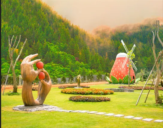 Ảnh Khu du lịch Rừng thông núi voi