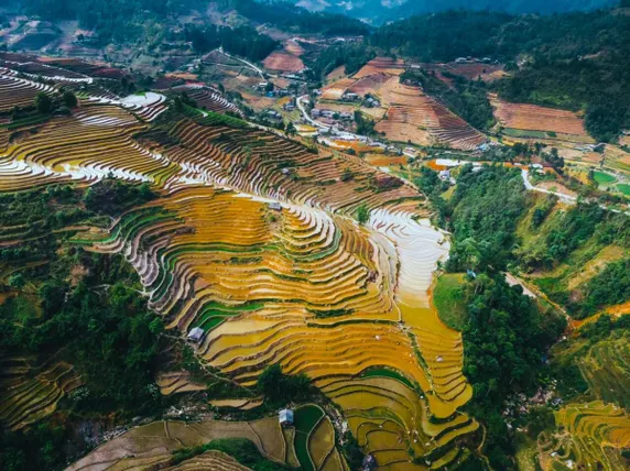 Ảnh Do Gu Homestay