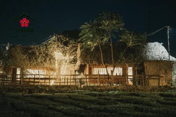 Ảnh Sakura House Vườn Đào