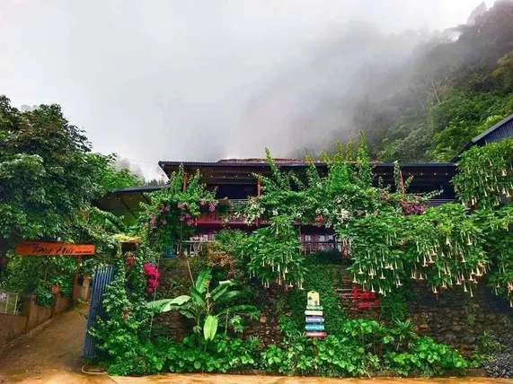 Ảnh Homestay phố núi suối giàng