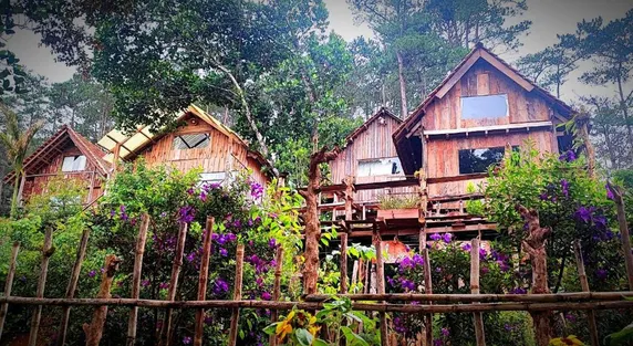 Ảnh ToChimRi Homestay MangDen