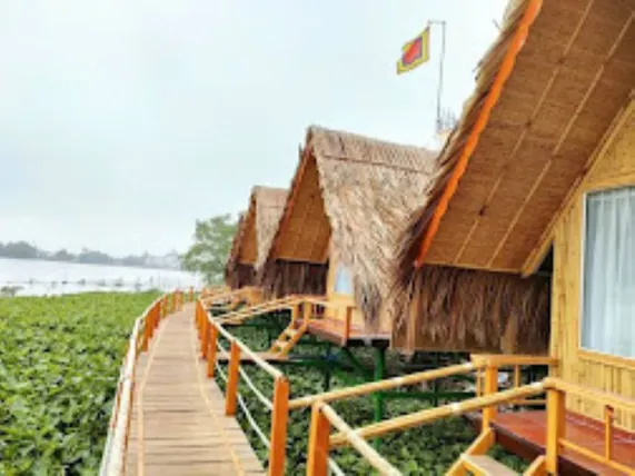 Ảnh Homestay Coco Island