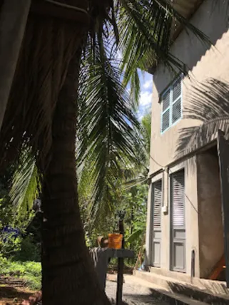 Ảnh Farmstay Nông Trại Thảnh Thơi