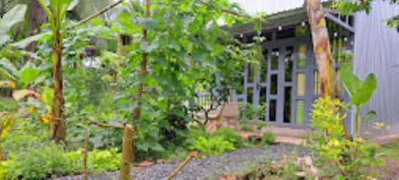 Ảnh Coco Happy Farm