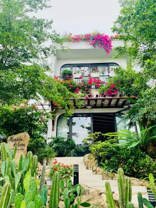Ảnh Biệt thự hoa Xương Rồng - Venus Flamingo resort