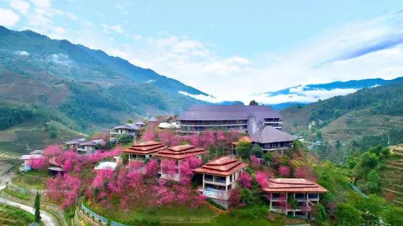 Ảnh Garrya Mu Cang Chai