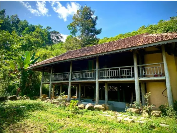 Ảnh Cao Lan Hamlet