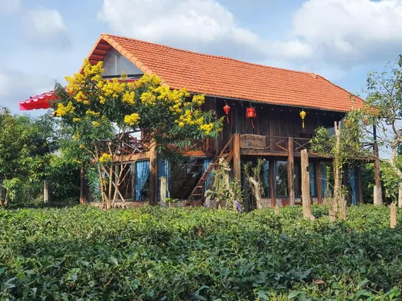 Ảnh Tea Garden House
