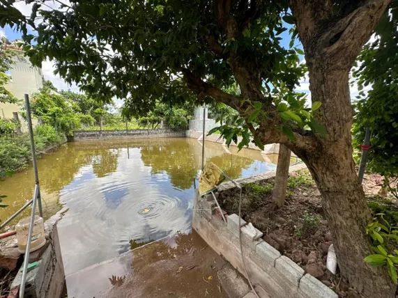 Ảnh Homestay doctorDe