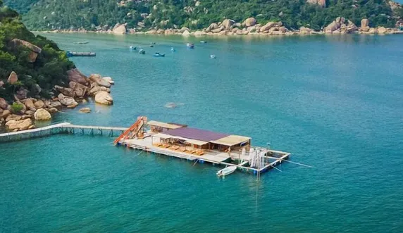 Ảnh Sao Biển Cam Ranh