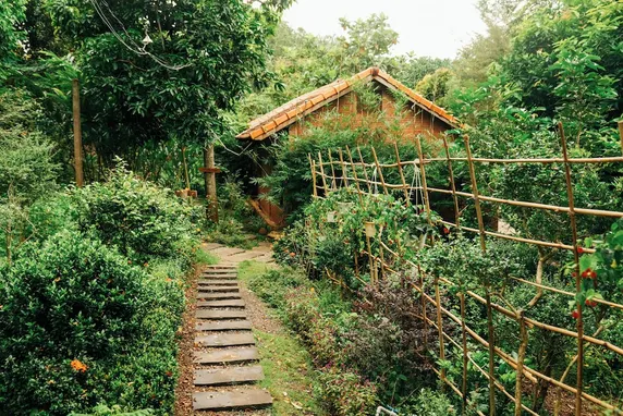 Ảnh Suối Rao Ecolodge