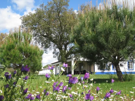 Ảnh Monte das Faias Cork Farm Hotel