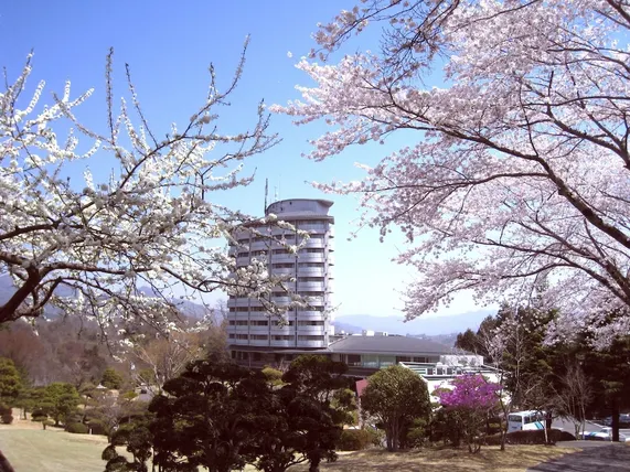 Ảnh Hotel Union Vert