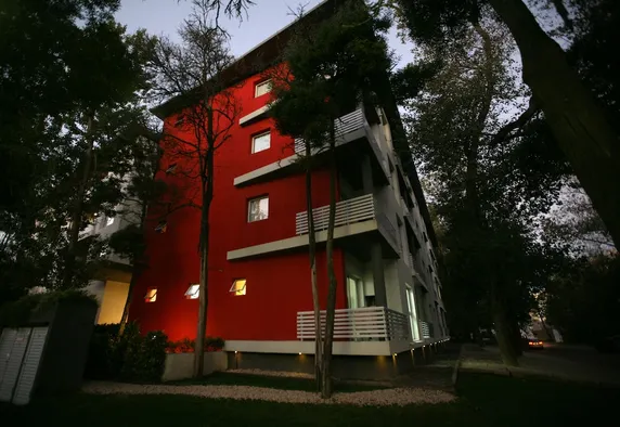 Ảnh Avutarda de Carilo