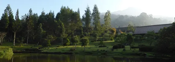 Ảnh Javana Spa & Resort