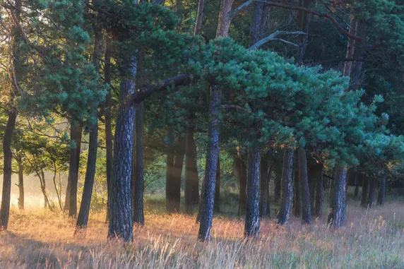 Ảnh Saltic Resort & SPA ŁEBA