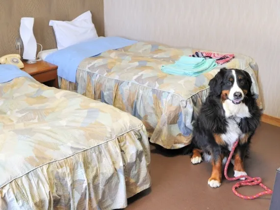 Ảnh Mogami Takayu Zenshichi no Yu