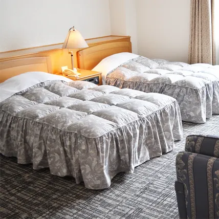 Ảnh Tateyama Kokusai Hotel