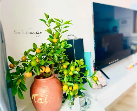 Ảnh Căn hộ 60 m² 2 phòng ngủ, 1 phòng tắm riêng ở Bát Tràng