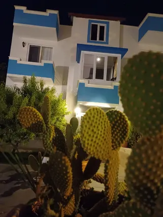 Ảnh THE COTTON HOUSE