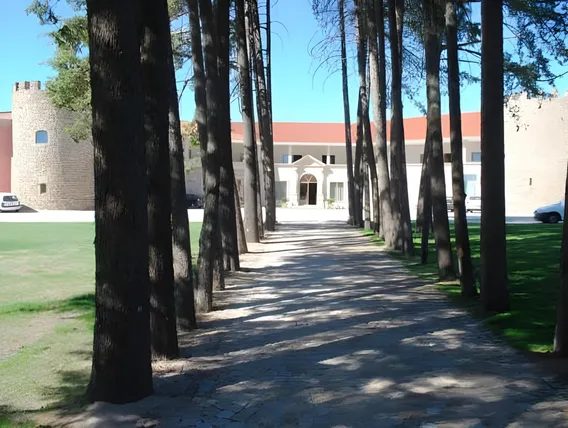 Ảnh Palace Hotel & Spa Termas de Sao Tiago