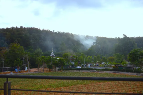 Ảnh PASSA ผัสสะ Tea Plantation @Mae On