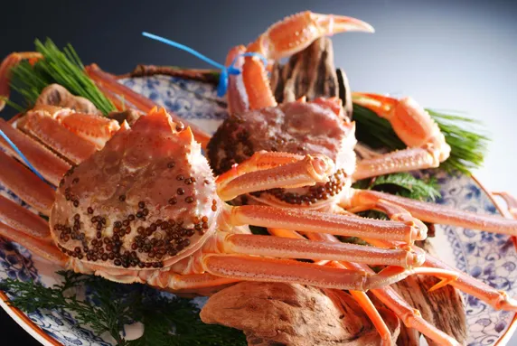 Ảnh Ginka - Kinosaki Maruyamagawa Onsen