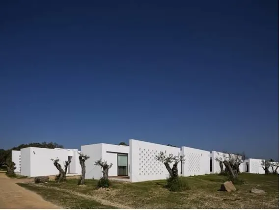 Ảnh ECORKHOTEL Evora