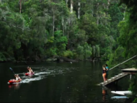 Ảnh WA Wilderness Pemberton