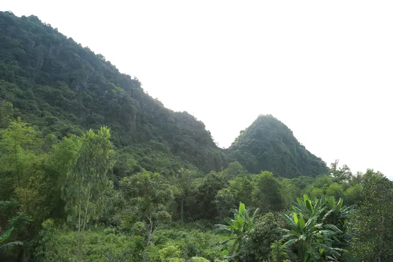 Ảnh Nhà riêng 500 m² 4 phòng ngủ, 4 phòng tắm riêng ở Phong Nha