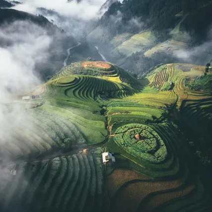 Ảnh Mù Cang Homestay