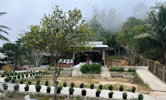 Ảnh Nui Cam Homestay