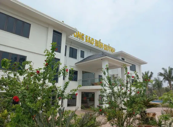 Ảnh Sao Biển Quỳnh