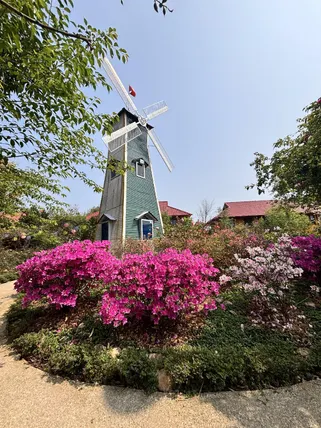 Ảnh Love hill than Uyên 