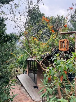 Ảnh The Homie Sóc Sơn