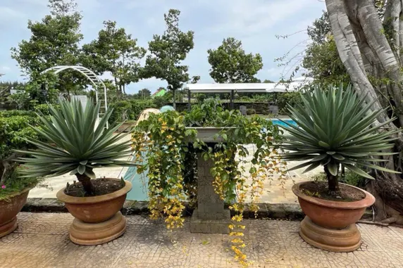 Ảnh Resort Mộc Hồ