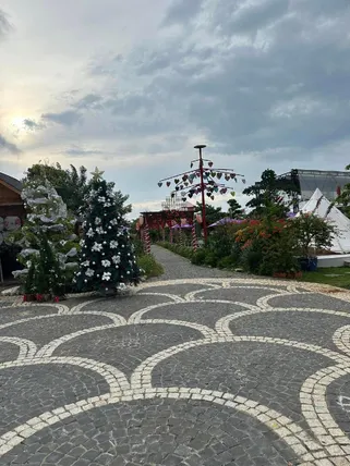 Ảnh Cafe cắm trại Đồng Gió Phước Hải