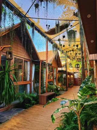 Ảnh Nhà Của An Homestay, Coffee & Spa Long Xuyên